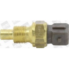 BorgWarner (BERU) ST250 - BERU CITROEN датчик температури води Berlingo.Jumpy.Jumper.Fiat Scudo.Ducato.Peugeot