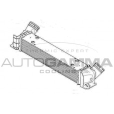 Интеркулер AUTOGAMMA 107335