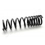 ZC5613A JAPANPARTS Пружина ходової частини