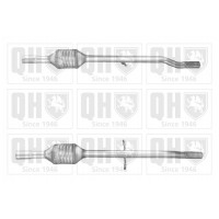 QCAT80460H QUINTON HAZELL Катализатор