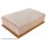 ADP152206 BLUE PRINT Повітряний фільтр