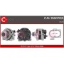 CAL10A07GS CASCO Генератор