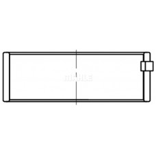 081 PL 21836 050 MAHLE Шатунний підшипник
