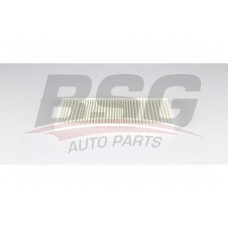 BSG 75-145-003 BSG Фільтр повітря у внутрішньому просторі