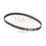 140-17100 IAP QUALITY PARTS Поліклиновий ремінь