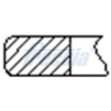 WG1945912 WILMINK GROUP Комплект поршневих кілець