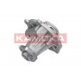 T0038 KAMOKA Водяний насос охолодження двигуна