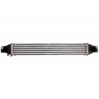 Интеркулер THERMOTEC DAC008TT