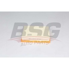 BSG 60-135-018 BSG Повітряний фільтр