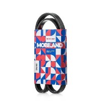 501250955 MOBILAND Поліклиновий ремінь