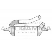 Интеркулер AUTOGAMMA 107070