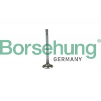 впускний клапан Borsehung B19020