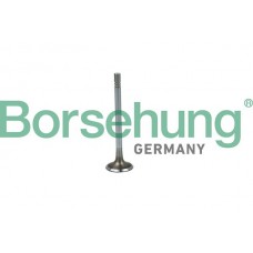 впускний клапан Borsehung B19020