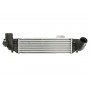 DA03002TT THERMOTEC Интеркулер