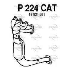 P224CAT FENNO Катализатор