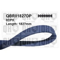 QBR81827DP QUINTON HAZELL Поліклиновий ремінь