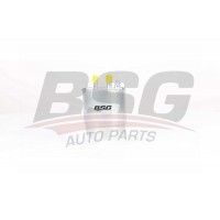 BSG 25-130-002 BSG Паливний фільтр