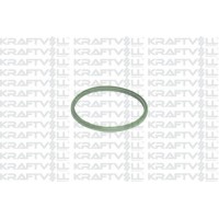 Ущільнювальне кільце, Трубка нагнітається повітря KRAFTVOLL-GERMANY 10031355