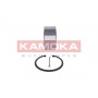 5600063 KAMOKA Комплект підшипника ступиці колеса