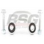BSG 90-310-102 BSG Тяга стійка стабілізатор