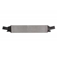 DAA012TT THERMOTEC Интеркулер