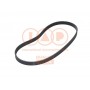 140-17019 IAP QUALITY PARTS Поліклиновий ремінь