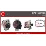 CAL15591GS CASCO Генератор