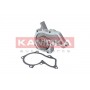 T0134 KAMOKA Водяний насос охолодження двигуна