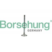 випускний клапан Borsehung B19007