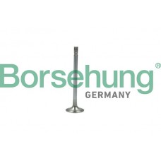 випускний клапан Borsehung B19007