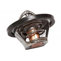 30999 Metalcaucho Термостат охолоджувальна рідина