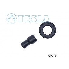 CP042 TESLA Вилка, Свічка запалювання