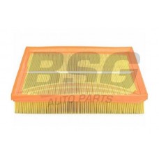 BSG 65-135-002 BSG Повітряний фільтр
