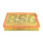 BSG 65-135-002 BSG Повітряний фільтр