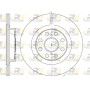 6961.10 ROADHOUSE Гальмівний диск