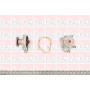 WP6053 FAI AutoParts Водяний насос охолодження двигуна