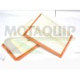 VFA1203 MOTAQUIP Повітряний фільтр
