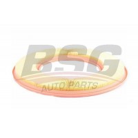 BSG 60-135-015 BSG Повітряний фільтр