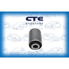 CBH03078 CTE Підвіска важіль незалежної підвіски колеса