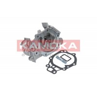T0242 KAMOKA Водяний насос охолодження двигуна