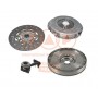 200-11029 IAP QUALITY PARTS Комплект зчеплення