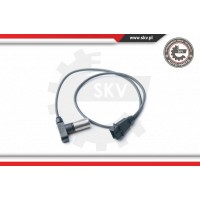 17SKV263 ESEN SKV Датчик імпульсів