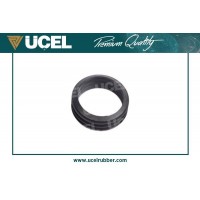 Трубка наддуваемого повітря UCEL 65352