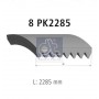 4.81700 DT Spare Parts Поліклиновий ремінь