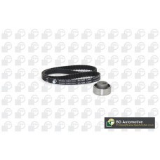 WG1487968 WILMINK GROUP Комплект ременя ГРМ
