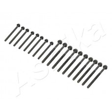 Болт головки циліндра ASHIKA 115-0L-L01