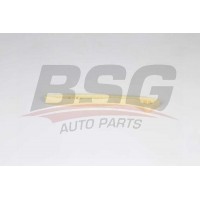 BSG 60-109-063 BSG Планка успокоювача ланцюг приводу