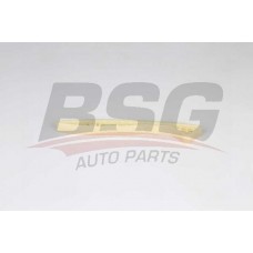 BSG 60-109-063 BSG Планка успокоювача ланцюг приводу
