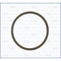 00522900 AJUSA Прокладка, термостат