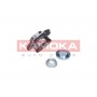 5500145 KAMOKA Комплект підшипника ступиці колеса